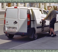 951 Гробы Марии-Юлии.jpg