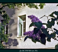 981 Сирень 2.jpg