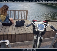 1122 Сова готовится в полёт.jpg