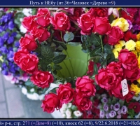 1171 а  Путь к НЕбу.jpg