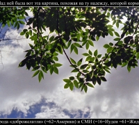 1253 Кофе на 3.jpg