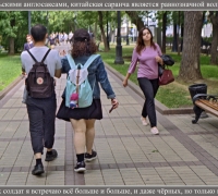 1341 Зета м 2.jpg