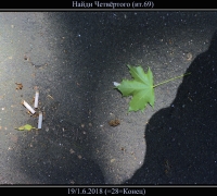 1382 Найди 4.jpg