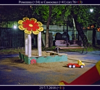 1393 Ромашка и самосвал.jpg