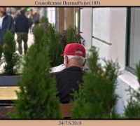 1402 Тот самый Пилзнер.jpg