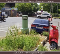 1505 Птица Наёбщица.jpg