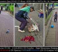 1557 Агент 487.jpg