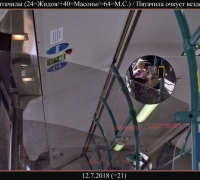 1598 Очко пятачилы.jpg