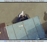 1608 Лифчик и объект.jpg