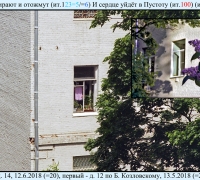 1617 Дубль сирень.jpg