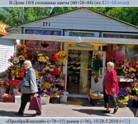 1633 В 10 сплошные цветы.jpg