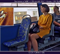 1661 Ласточки 1.jpg