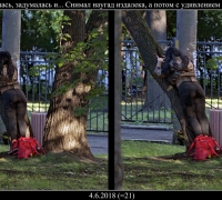 1695 Всё летит н 2.jpg