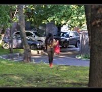 1696 Всё лит ушла.jpg