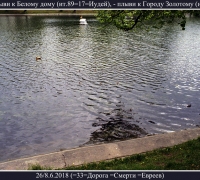 1751 Не плыви к Белому дому.jpg