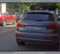 1756 Серый Он 5.jpg