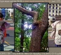 1757 Ждун видит всё.jpg