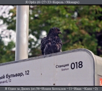 1783 Я такой 2.jpg