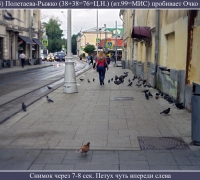 1794 Буксир 11.jpg