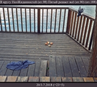 1801 Пятый решает всё.jpg