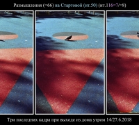 1826 Голубь на стартовой.jpg