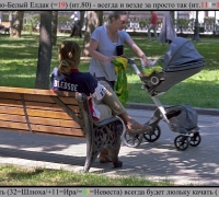 1838 Серая мать.jpg