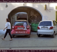 1846 Крутая вафля.jpg