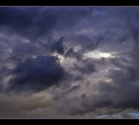 1914 Знаки 7 июля 4.jpg