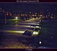 1915 Знаки 7 июля 5.jpg