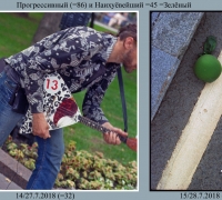 2016 Прогрессивный.jpg