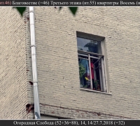 2031 В Африку 5.jpg