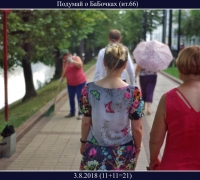 2088 О бабочках.jpg