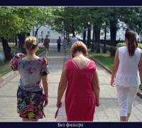 2089 о бабочках.jpg