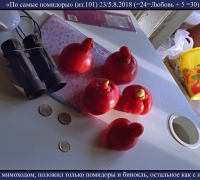 2105 Помидоры 1.jpg