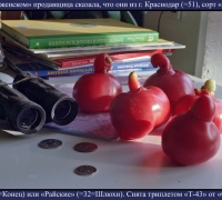 2106 Помидоры 2.jpg