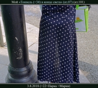 2109 Помидоры 5.jpg