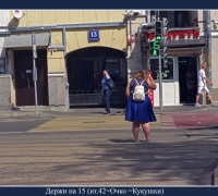 2111 Помидоры 7.jpg