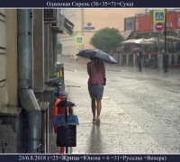 2238 Один Сирень 1.jpg