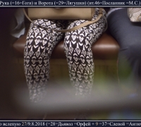 2286 Ворота и рука.jpg