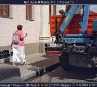 2297 Всё дело в вафле.jpg