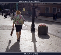 2309 Морозное Лето.jpg