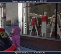 2314 Сирень спешит.jpg