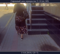 2319 Сиреневый дым.jpg