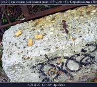 2346 Пробки.jpg