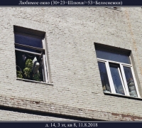 2360 Любимое окно.jpg