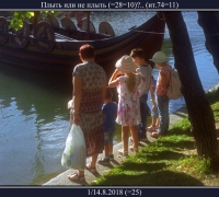 2389 Плыть или не плыть.jpg