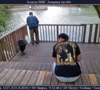 2416 а Агенты.jpg