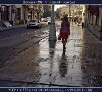 2484 Печаль.jpg