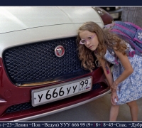 2498 Ягуар 1.jpg