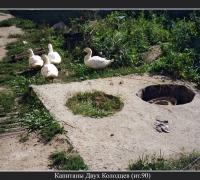 2535 Капитаны 1.jpg